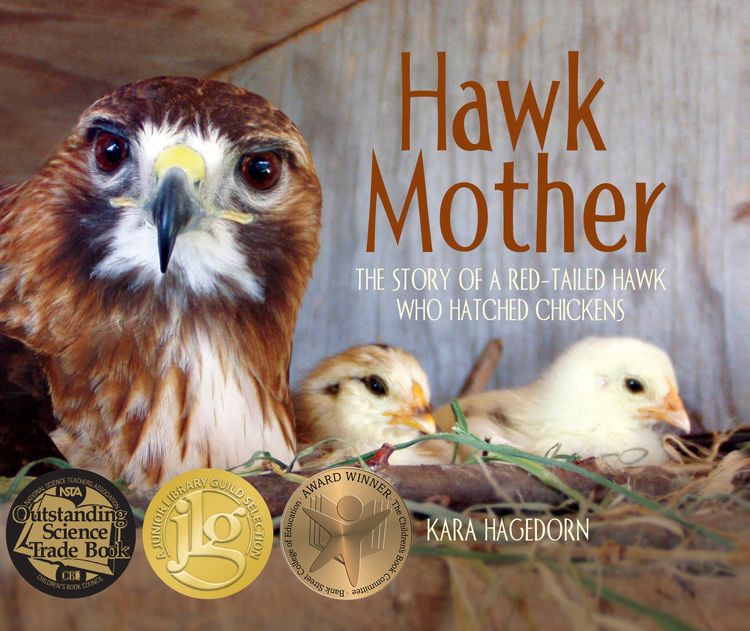 Produktbild: Hawk Mother