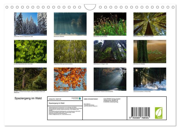 Produktbild: Spaziergang im Wald (Wandkalender 2027 DIN A4 quer), CALVENDO Monatskalender