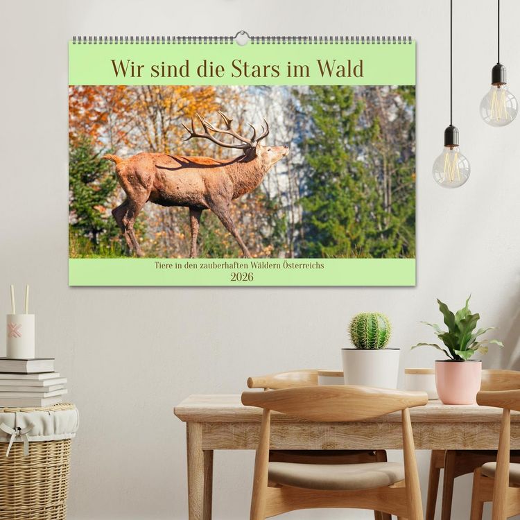 Produktbild: Wir sind die Stars im Wald (Wandkalender 2026 DIN A2 quer), CALVENDO Monatskalender