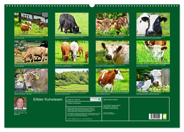 Produktbild: Eifeler Kuhwiesen (Wandkalender 2026 DIN A2 quer), CALVENDO Monatskalender