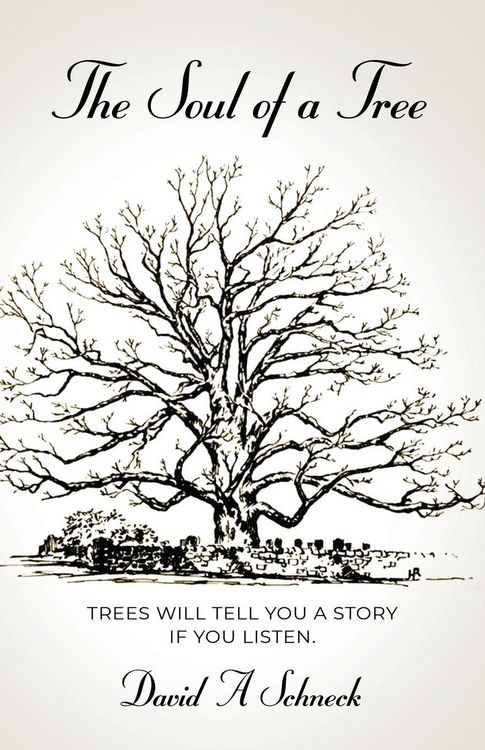 Produktbild: The Soul of a Tree