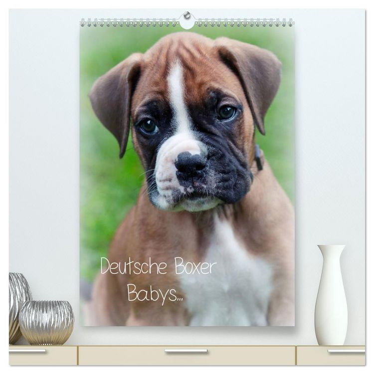 Produktbild: Deutsche Boxer Babys... (hochwertiger Premium Wandkalender 2026 DIN A2 hoch), Kunstdruck in Hochglanz