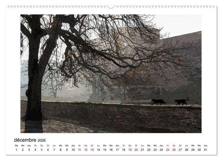Produktbild: Berlioz et Zo&eacute; &agrave; Angers (Calendrier mural 2026 DIN A2 vertical) calendrier de bureau