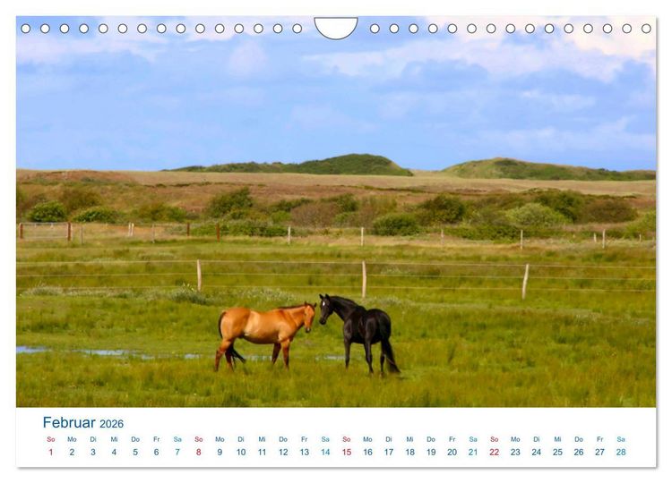 Produktbild: Langeoog 2026. Impressionen zwischen Hafen und Ostende (Wandkalender 2026 DIN A4 quer), CALVENDO Monatskalender