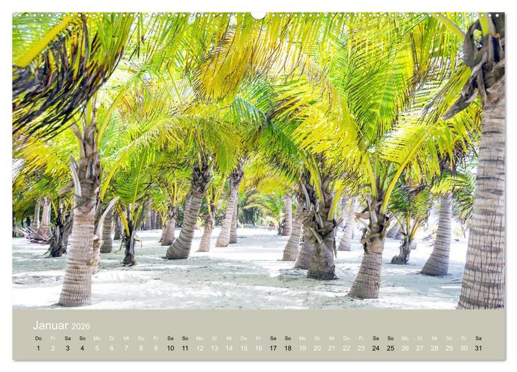 Produktbild: Mexiko - ein traumhaftes Paradies (hochwertiger Premium Wandkalender 2026 DIN A2 quer), Kunstdruck in Hochglanz