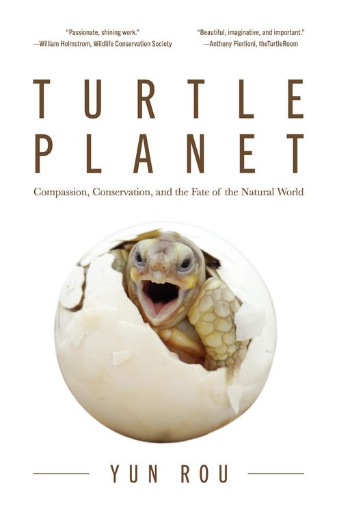 Produktbild: Turtle Planet