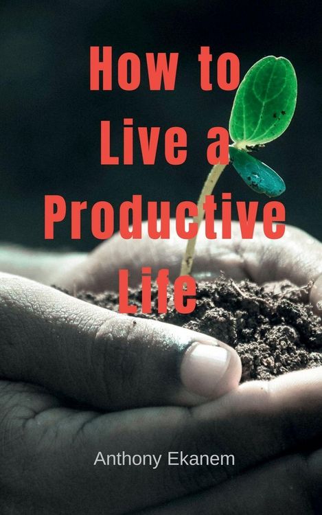 Produktbild: How to Live a Productive Life
