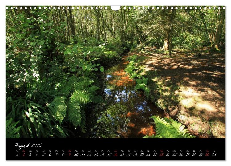 Produktbild: Broc&eacute;liande / Zauberwald der Bretagne (Wandkalender 2026 DIN A3 quer), CALVENDO Monatskalender