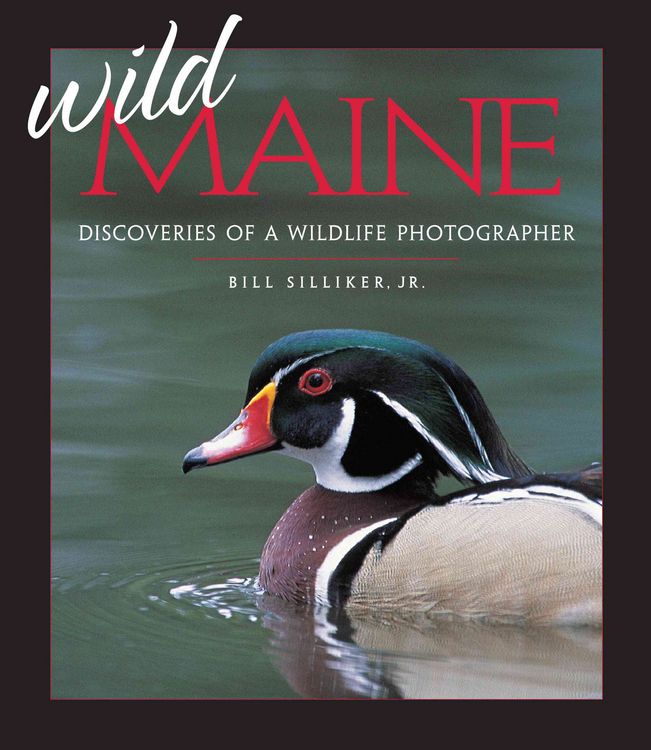 Produktbild: Wild Maine