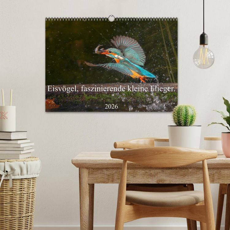 Produktbild: Eisv&ouml;gel, faszinierende kleine Flieger. (Wandkalender 2026 DIN A3 quer), CALVENDO Monatskalender