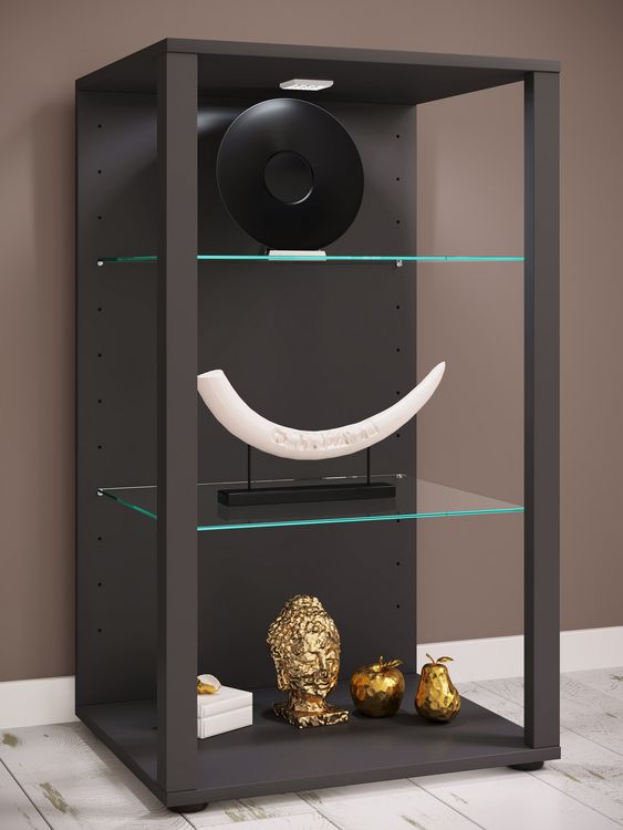 Produktbild: Holz Glas Stand Vitrine Sammelvitrine Glasol XL