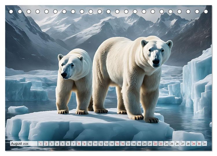 Produktbild: Im magischen Land der Eisb&auml;ren (Tischkalender 2026 DIN A5 quer), CALVENDO Monatskalender