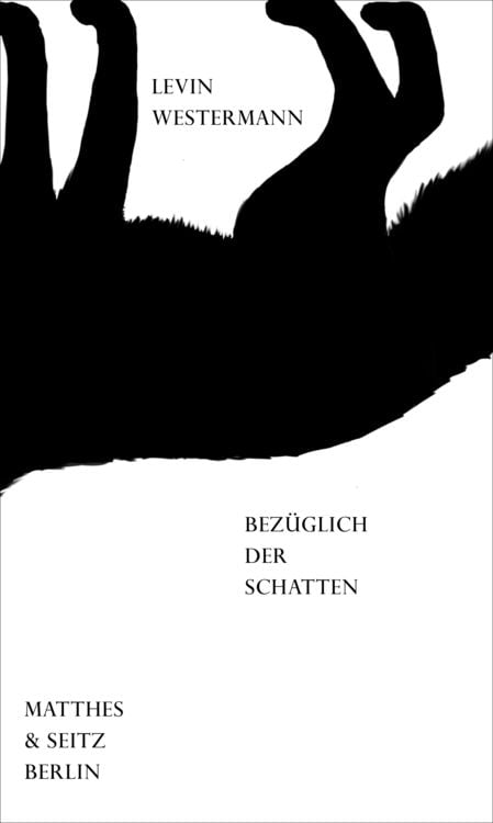 Bild vom Artikel Bezüglich der schatten vom Autor Levin Westermann