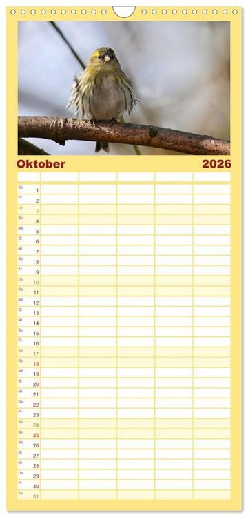 Produktbild: Familienplaner 2026 - Erlenzeisige mit 5 Spalten (Wandkalender, 21 x 45 cm) CALVENDO