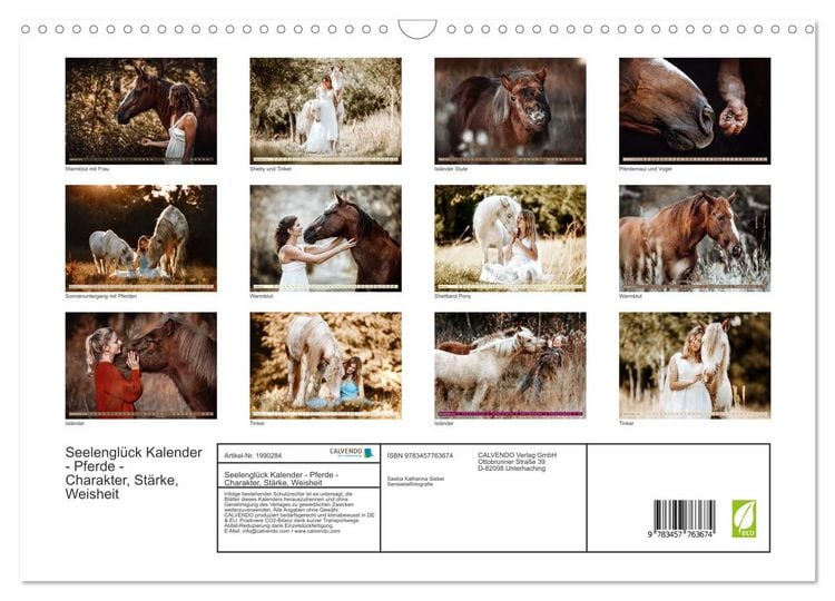 Produktbild: Seelengl&uuml;ck Kalender - Pferde - Charakter, St&auml;rke, Weisheit (Wandkalender 2026 DIN A3 quer), CALVENDO Monatskalender
