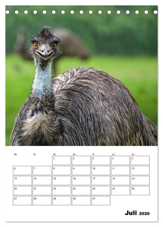 Produktbild: Australiens faszinierende Tierwelt (Tischkalender 2026 DIN A5 hoch), CALVENDO Monatskalender