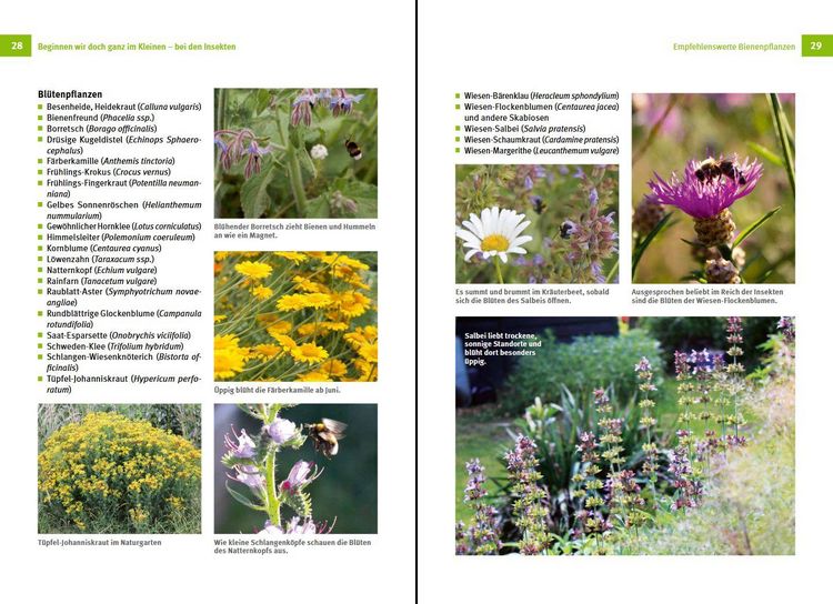 Produktbild: N&uuml;tzlinge im Garten f&ouml;rdern