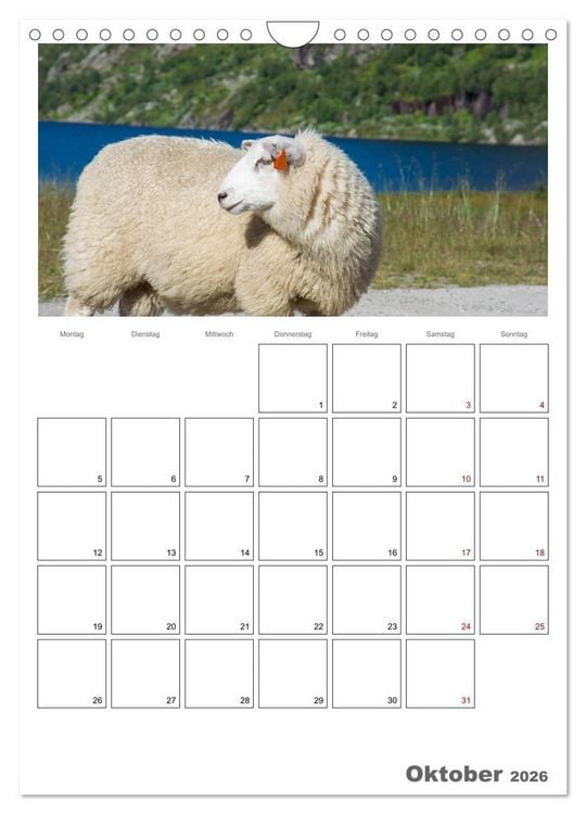 Produktbild: Schafe - 12 Monate in der Herde (Wandkalender 2026 DIN A4 hoch), CALVENDO Monatskalender