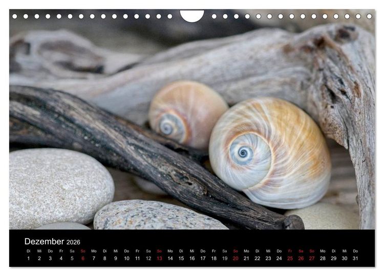 Produktbild: Strandgut und Meer 2026 (Wandkalender 2026 DIN A4 quer), CALVENDO Monatskalender