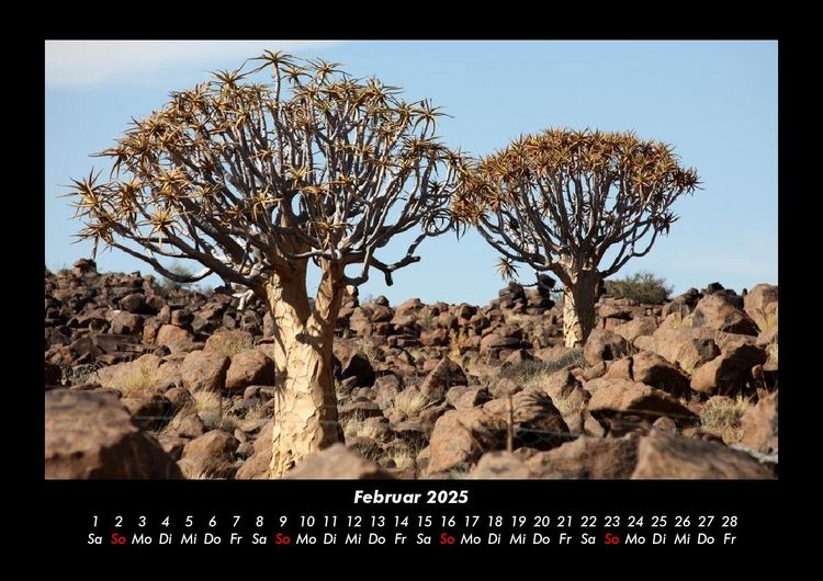 Produktbild: B&auml;ume 2025 Fotokalender DIN A3