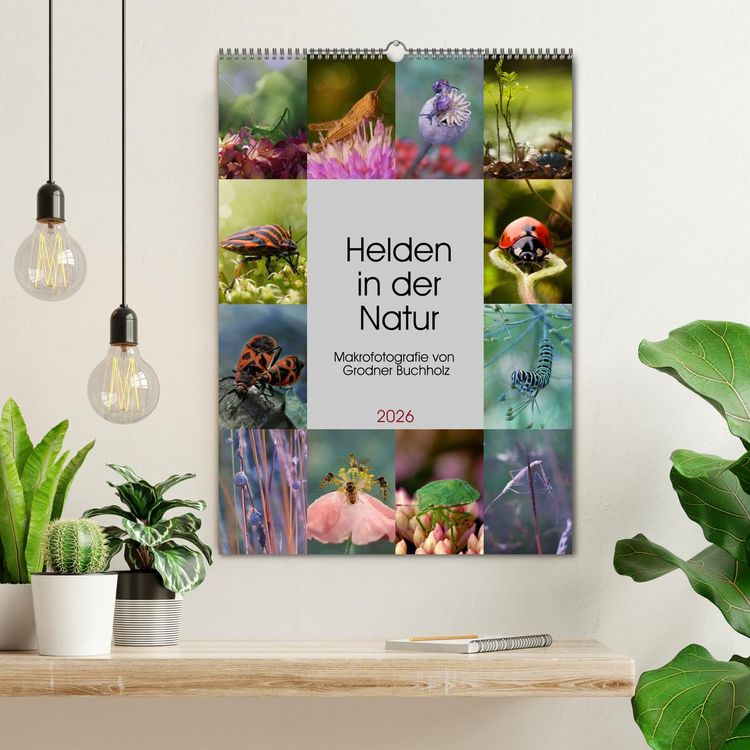 Produktbild: Helden in der Natur (Wandkalender 2026 DIN A2 hoch), CALVENDO Monatskalender