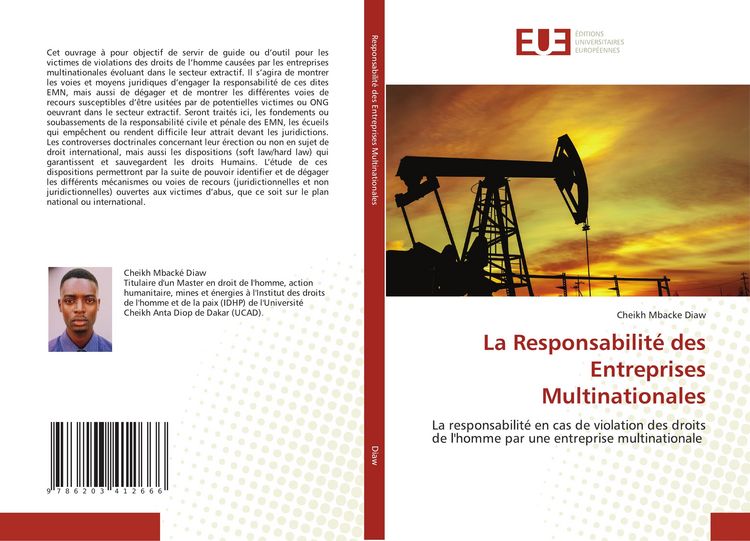 Produktbild: La Responsabilit&eacute; des Entreprises Multinationales