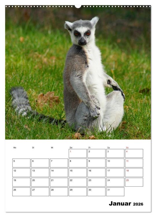 Produktbild: Katta Terminplaner (Wandkalender 2026 DIN A2 hoch), CALVENDO Monatskalender