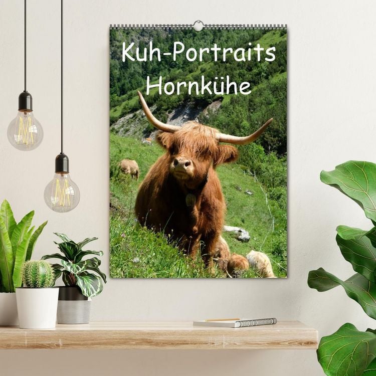 Produktbild: Kuhportraits Hornk&uuml;he (Wandkalender 2026 DIN A2 hoch), CALVENDO Monatskalender
