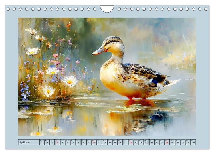 Produktbild: Zwergenten. Bezaubernde Schreih&auml;lse in der Natur (Wandkalender 2027 DIN A4 quer), CALVENDO Monatskalender