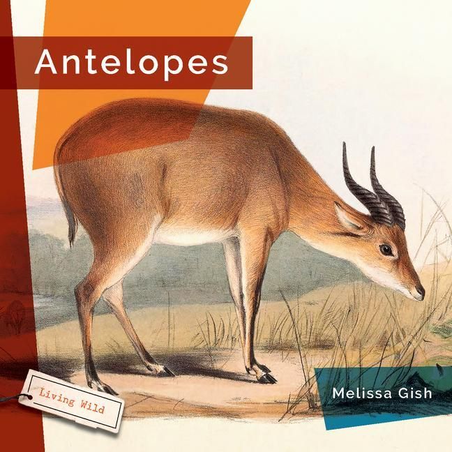 Produktbild: Antelopes