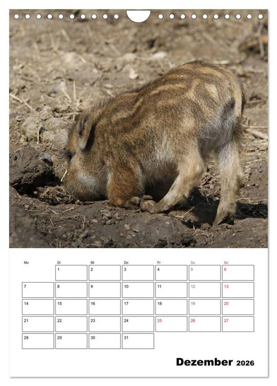 Produktbild: Der wildschweinische Terminplaner (Wandkalender 2026 DIN A4 hoch), CALVENDO Monatskalender