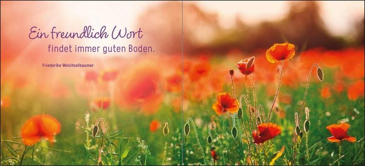 Produktbild: Ein kleines Dankesch&ouml;n