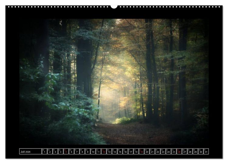 Produktbild: Der Reichswald bei Kleve (Wandkalender 2026 DIN A2 quer), CALVENDO Monatskalender