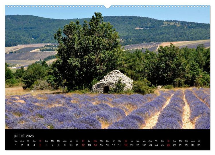 Produktbild: Lavande, l'or bleu de Provence (Calendrier mural 2026 DIN A2 vertical) calendrier de bureau