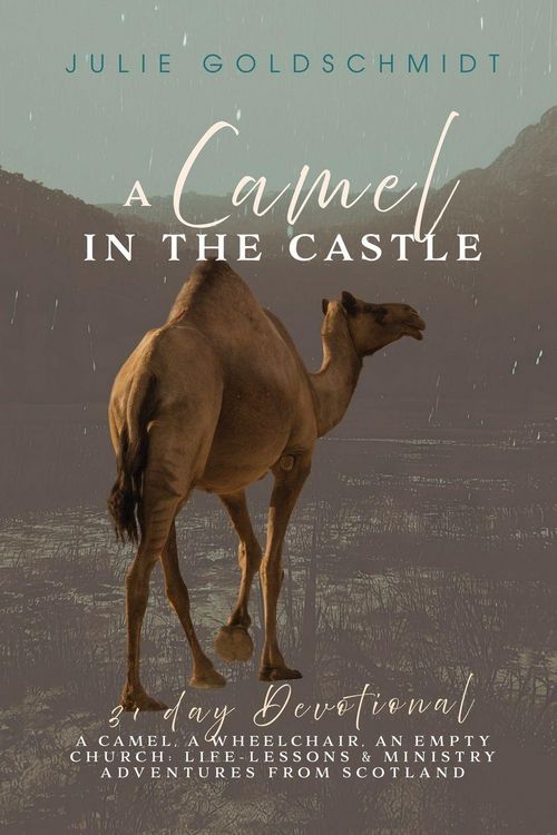 Produktbild: A Camel in the Castle