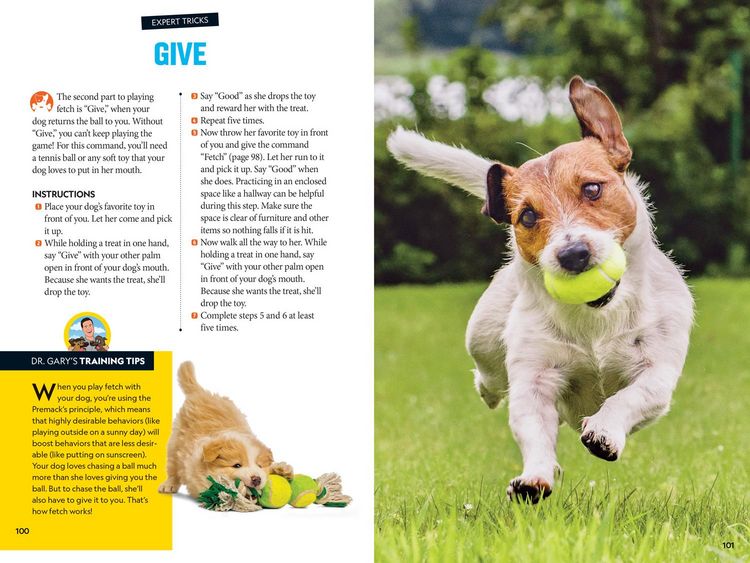 Produktbild: Fetch! a How to Speak Dog Training Guide