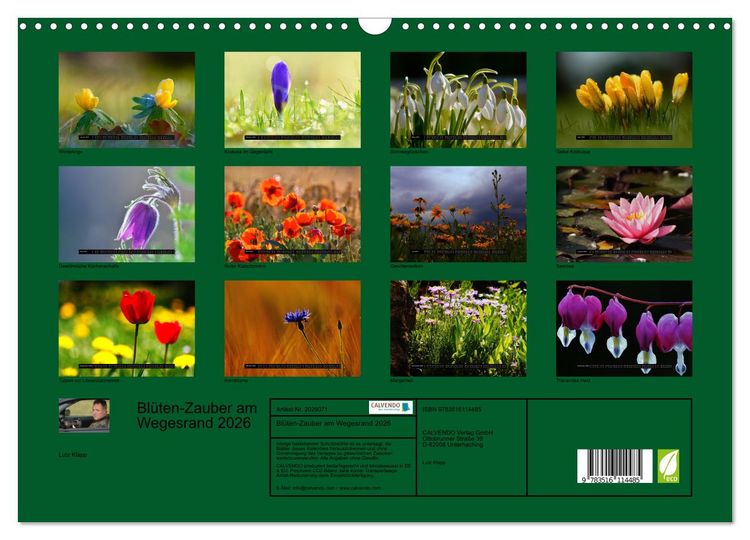 Produktbild: Bl&uuml;ten-Zauber am Wegesrand 2026 (Wandkalender 2026 DIN A3 quer), CALVENDO Monatskalender