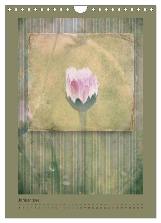 Produktbild: Vintage Style (Wandkalender 2026 DIN A4 hoch), CALVENDO Monatskalender