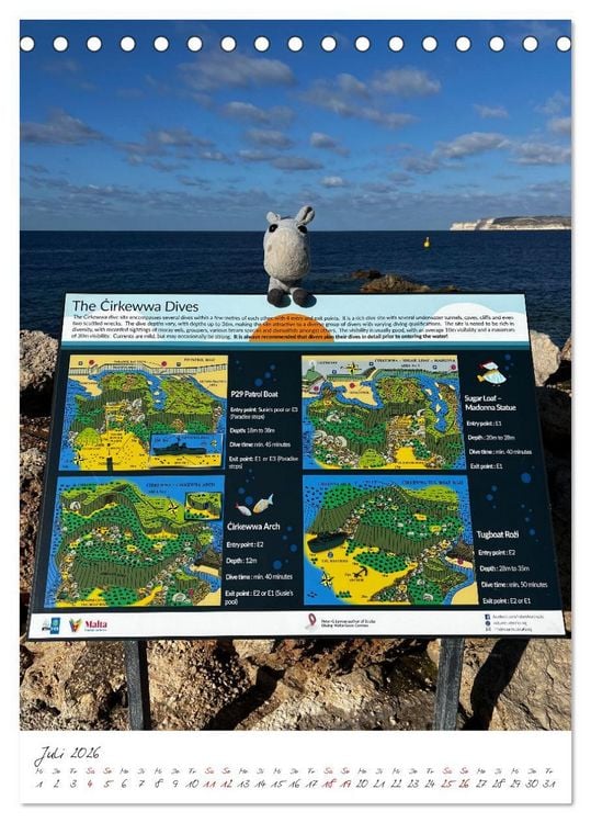 Produktbild: Schorschi auf Reisen ein kleiner Esel unterwegs auf der Insel Malta (Tischkalender 2026 DIN A5 hoch), CALVENDO Monatskalender