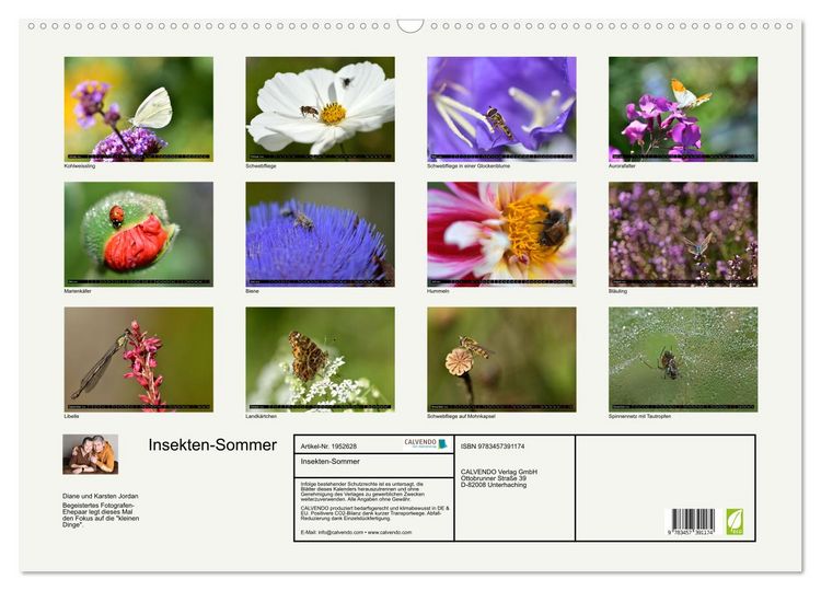 Produktbild: Insekten-Sommer (Wandkalender 2026 DIN A2 quer), CALVENDO Monatskalender