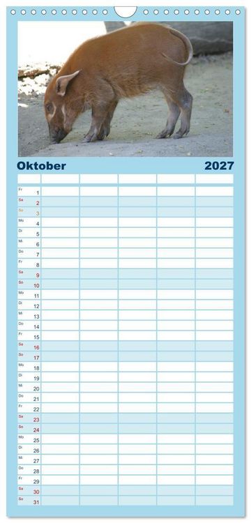 Produktbild: Familienplaner 2027 - Tierische Schweinerei mit 5 Spalten (Wandkalender, 21 x 45 cm) CALVENDO