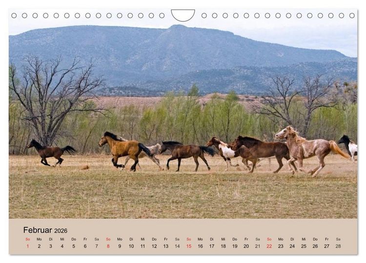 Produktbild: Wildpferde. Frei wie der Wind (Wandkalender 2026 DIN A4 quer), CALVENDO Monatskalender
