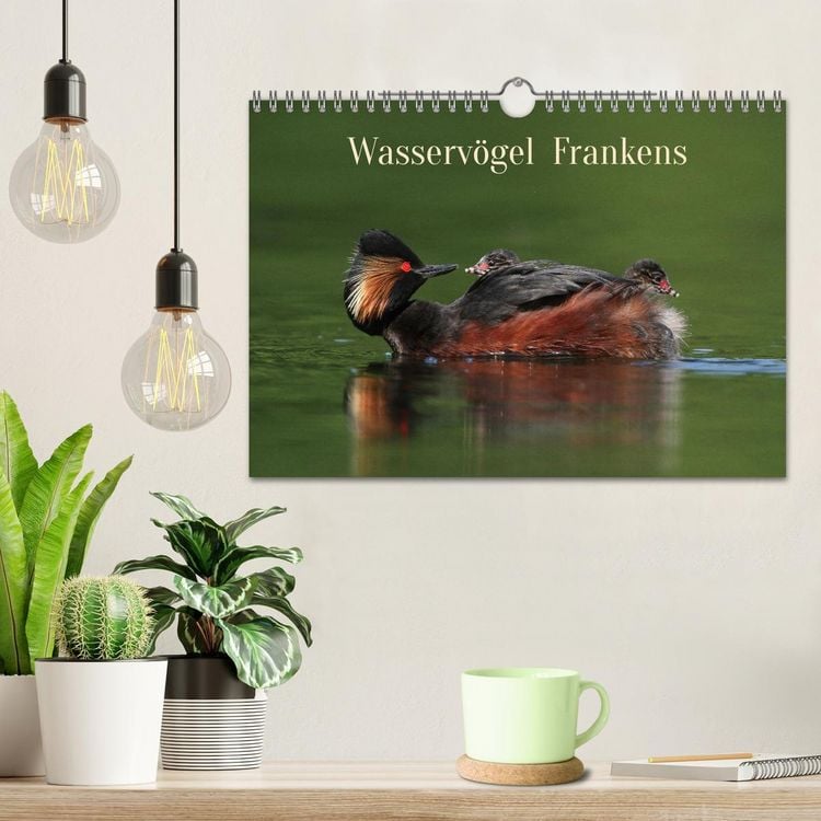 Produktbild: Wasserv&ouml;gel Frankens (Wandkalender 2026 DIN A4 quer), CALVENDO Monatskalender
