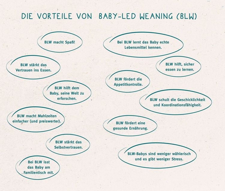 Produktbild: Baby-led Weaning - Das Grundlagenbuch