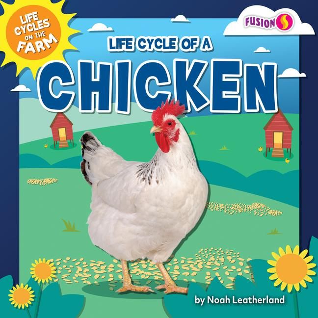 Produktbild: Life Cycle of a Chicken