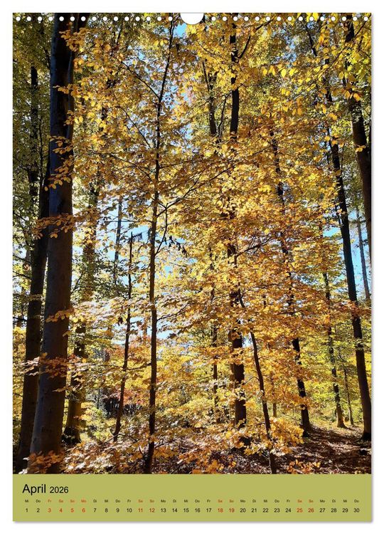 Produktbild: Momente des Herbstes (Wandkalender 2026 DIN A3 hoch), CALVENDO Monatskalender