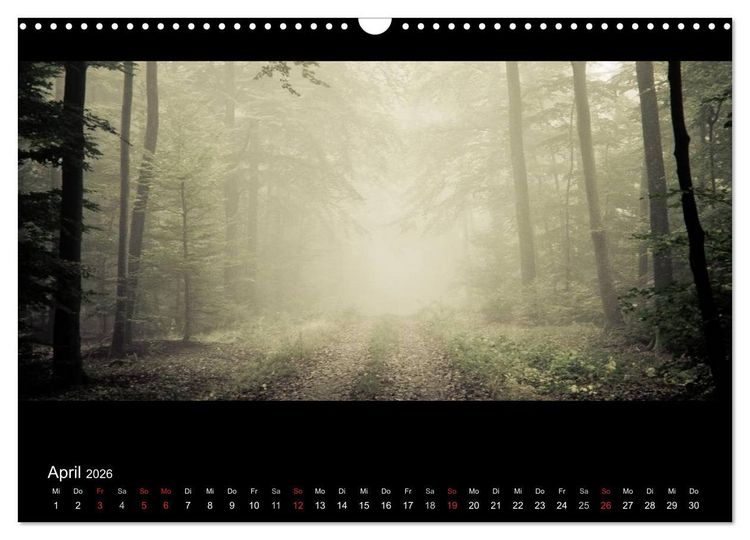 Produktbild: NEBEL (Wandkalender 2026 DIN A3 quer), CALVENDO Monatskalender