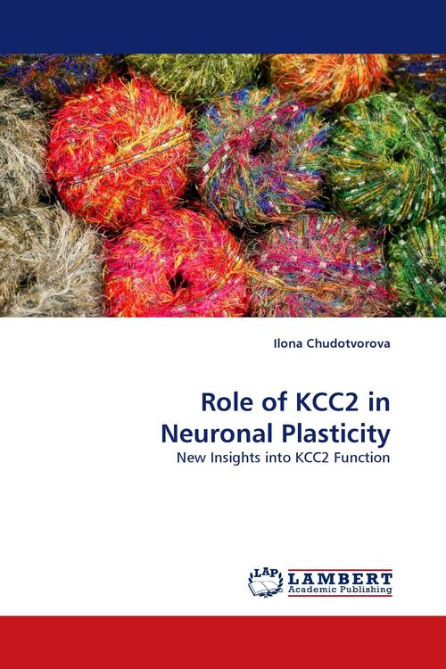 Produktbild: Role of KCC2 in Neuronal Plasticity