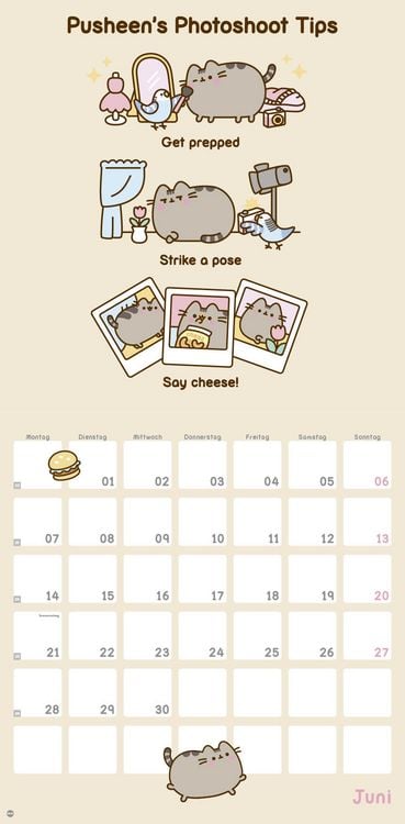 Produktbild: Pusheen Broschurkalender