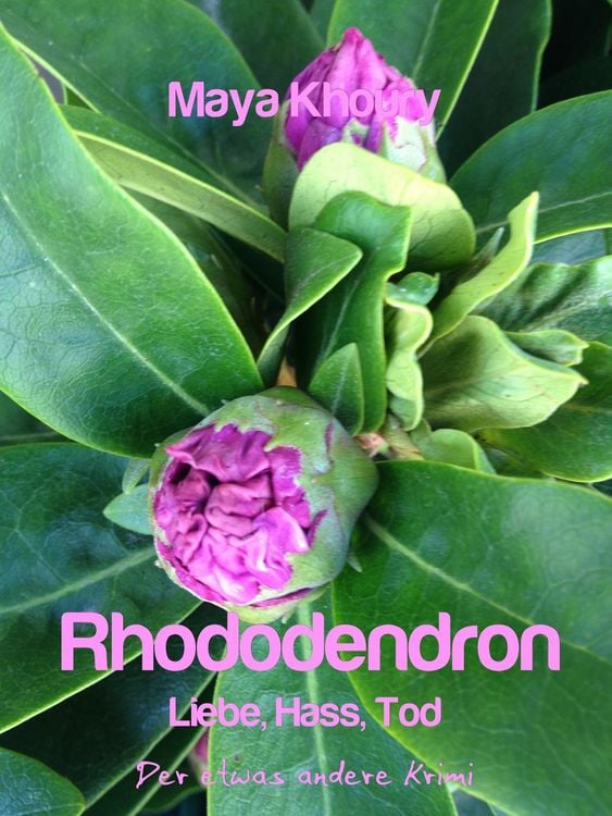 Produktbild: Rhododendron